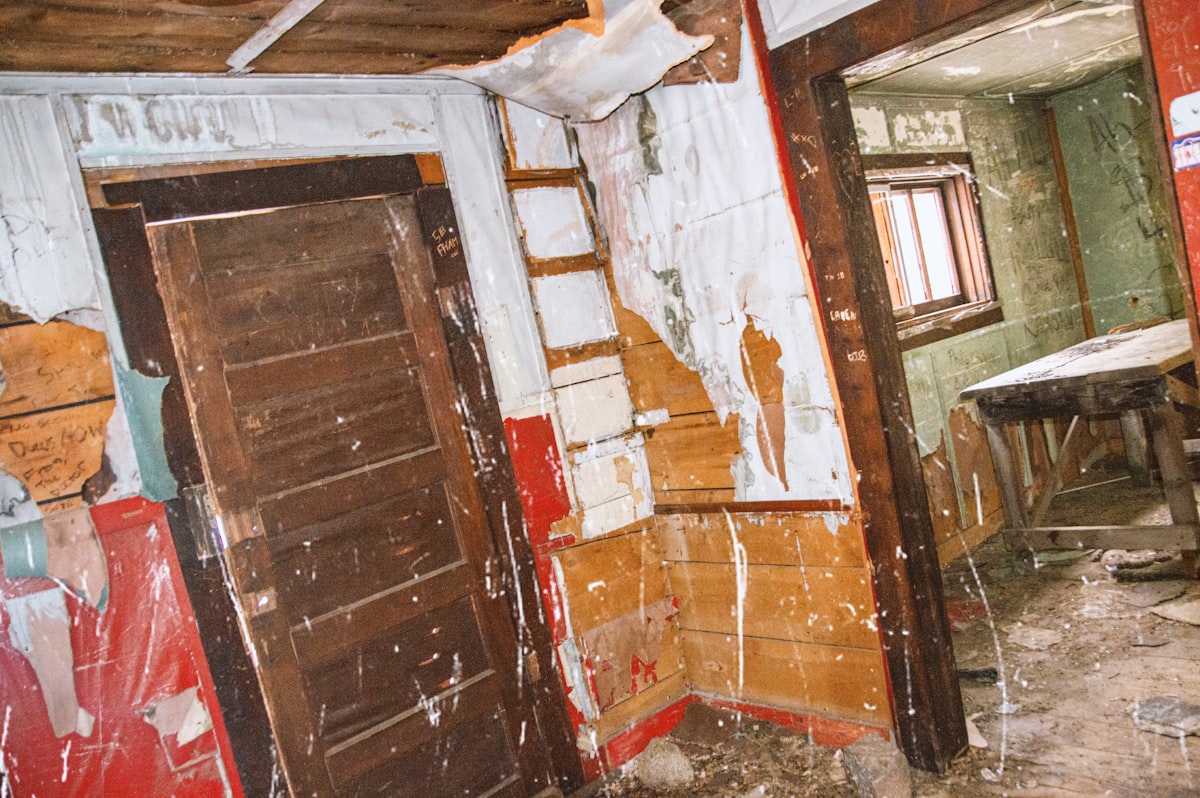 Mold Remediation service in Bolingbrook, IL