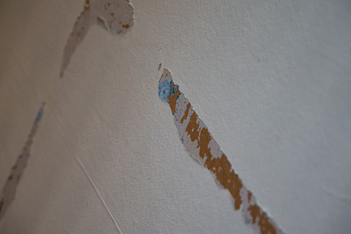 Sewage Cleanup service in Bolingbrook, IL