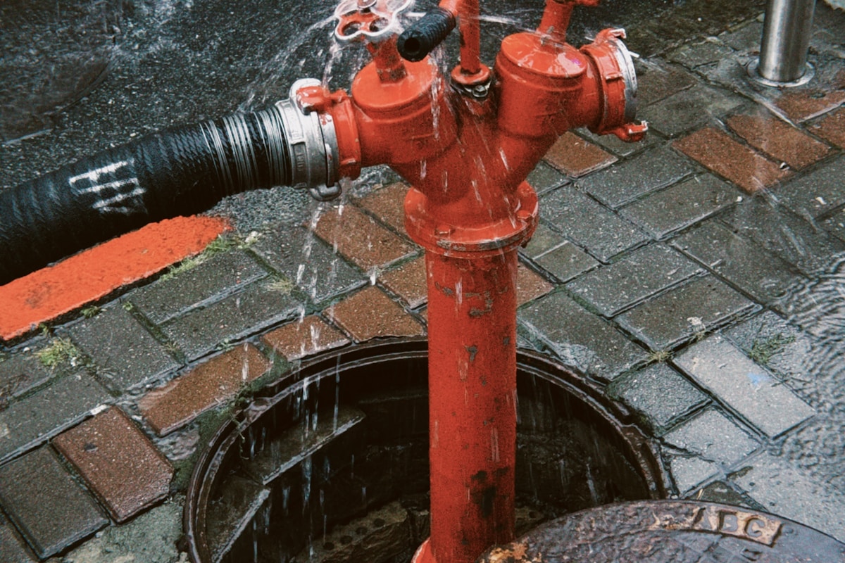 Water Extraction service in Bolingbrook, IL